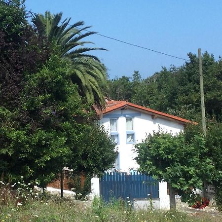 فيلا Casa Jardin Rocablanca Llanes سيلوريو المظهر الخارجي الصورة