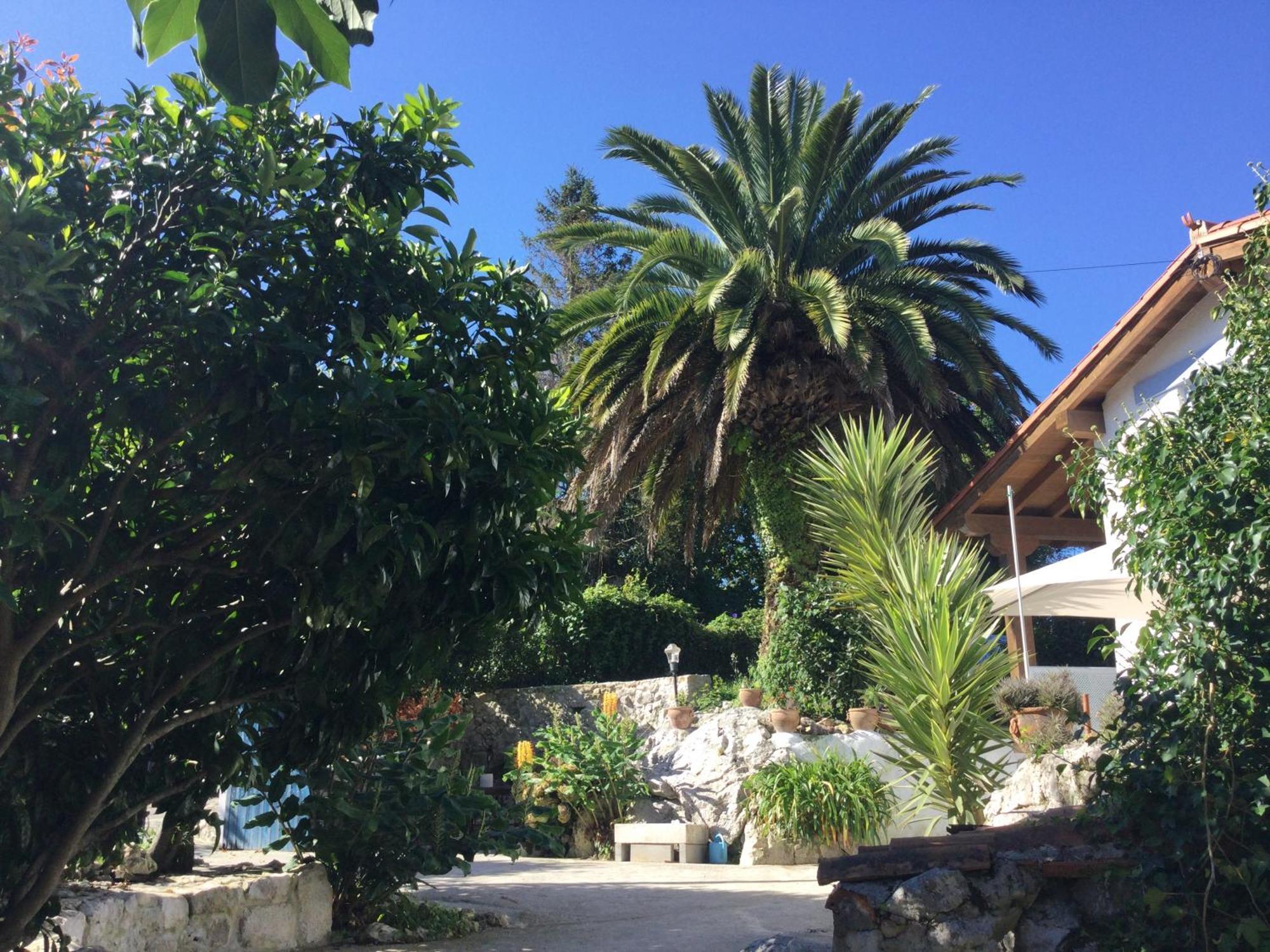 فيلا Casa Jardin Rocablanca Llanes سيلوريو المظهر الخارجي الصورة