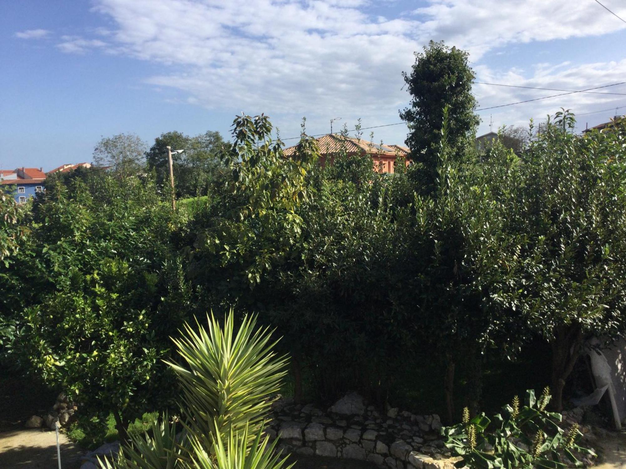 فيلا Casa Jardin Rocablanca Llanes سيلوريو المظهر الخارجي الصورة
