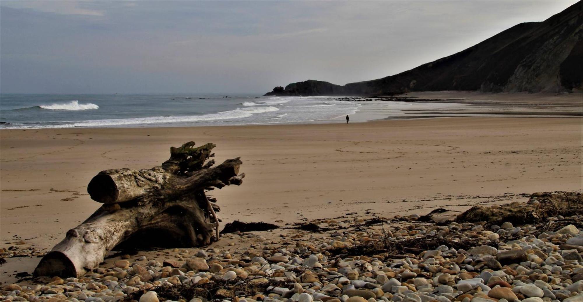 فيلا Casa Jardin Rocablanca Llanes سيلوريو المظهر الخارجي الصورة